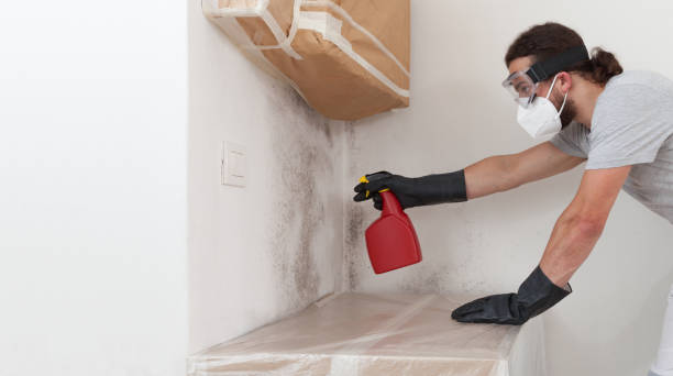 Professional Mold Remediation technician working in Trumansburg, NY