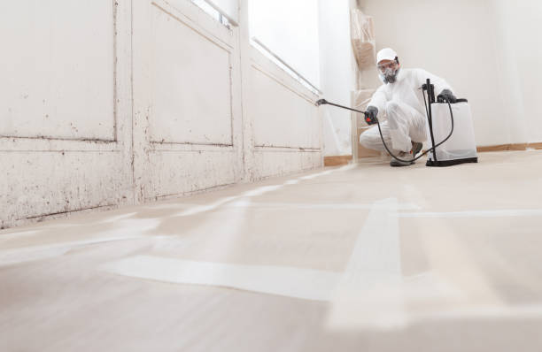 24/7 Emergency Mold Remediation experts in Trumansburg, NY