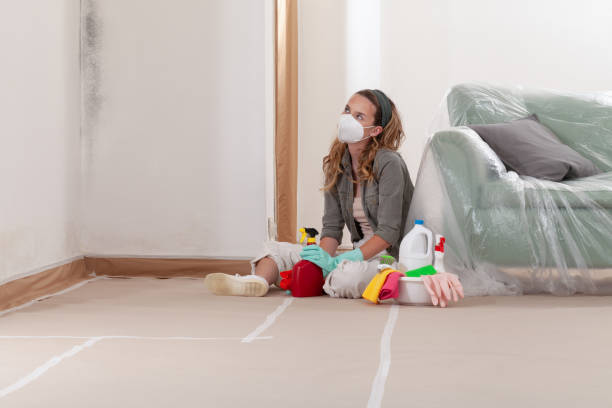 Reliable Mold Remediation contractor in Trumansburg, NY by 24 Hour Mold Removal